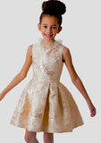 Special Occasion - Isabellas Dress